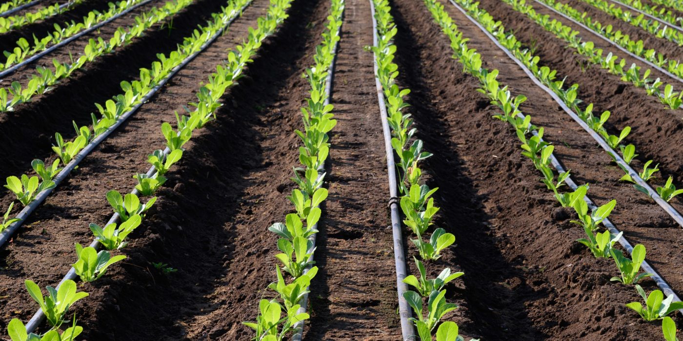 kap po kap navodnjavanje hero