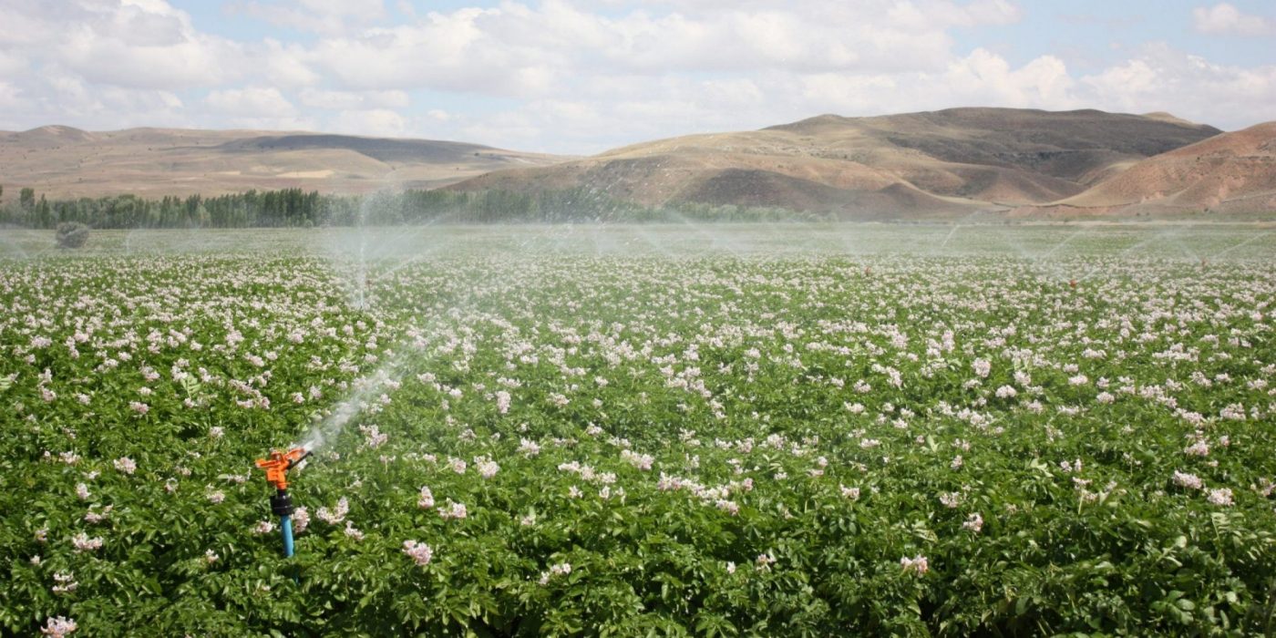 sprinkler-navodnjavanje-hero