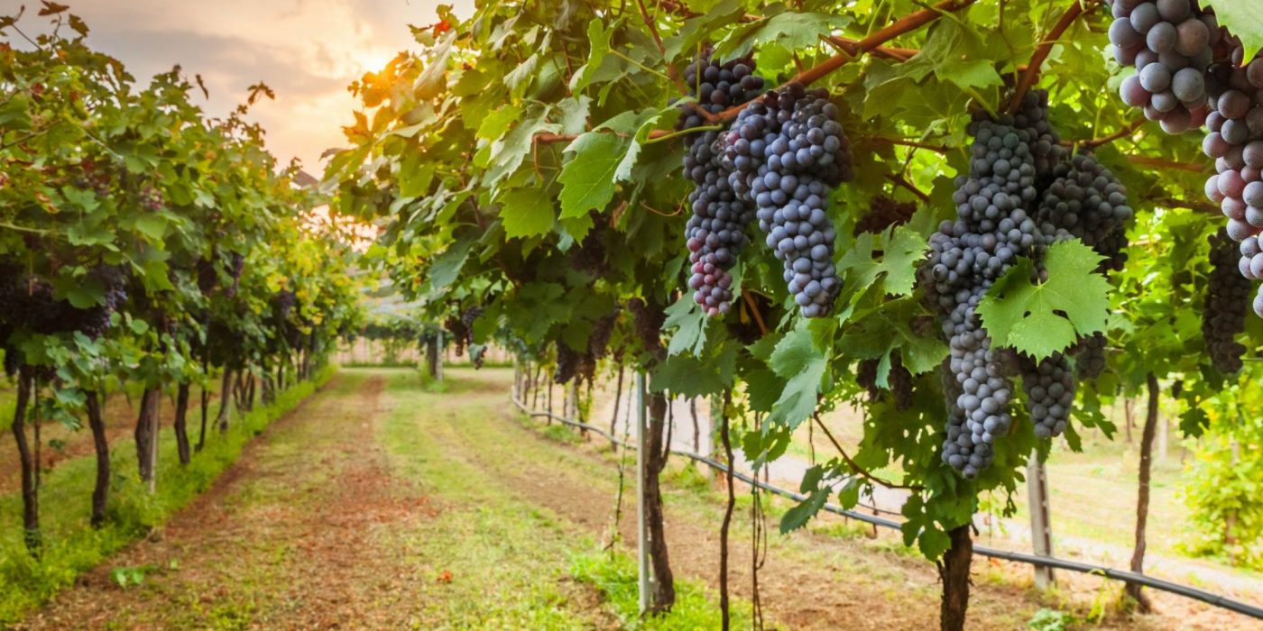 kontroleri za navodnjavanje hero