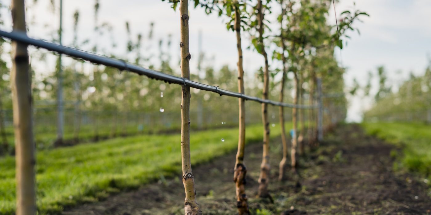 pupme za navodnjavanje