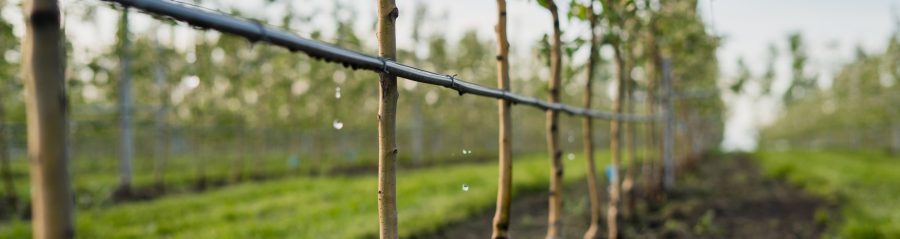 pupme za navodnjavanje