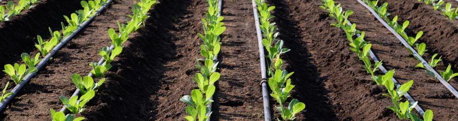 kap po kap navodnjavanje hero