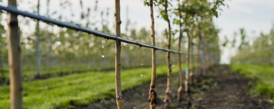 pupme za navodnjavanje