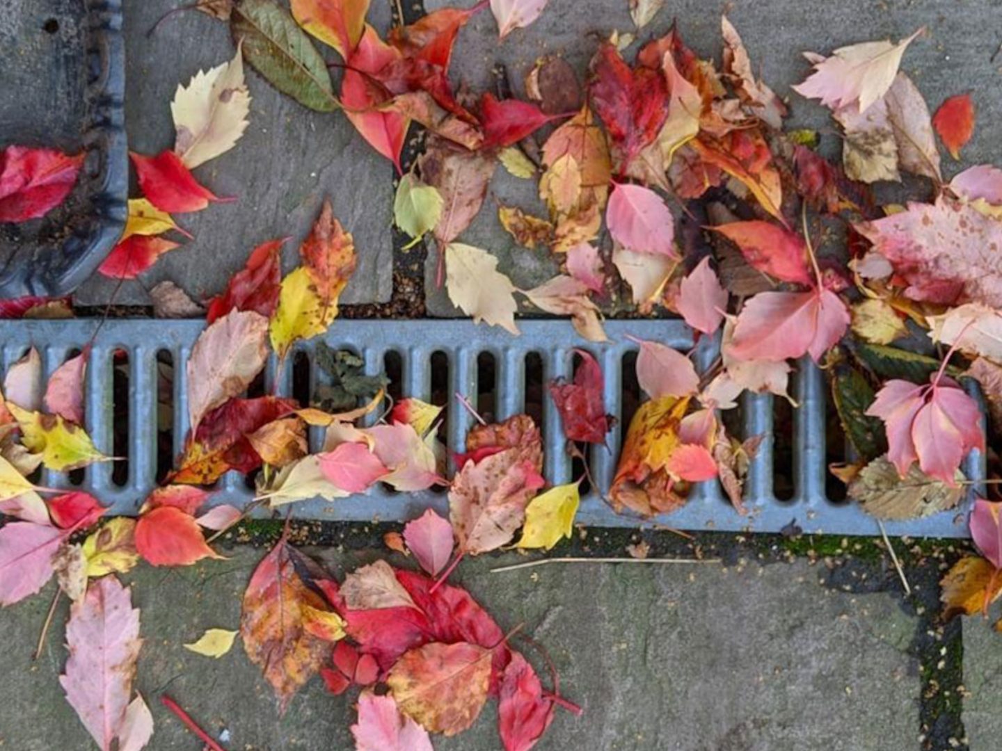 RS_MKT_PHO_SEM_SemDrain