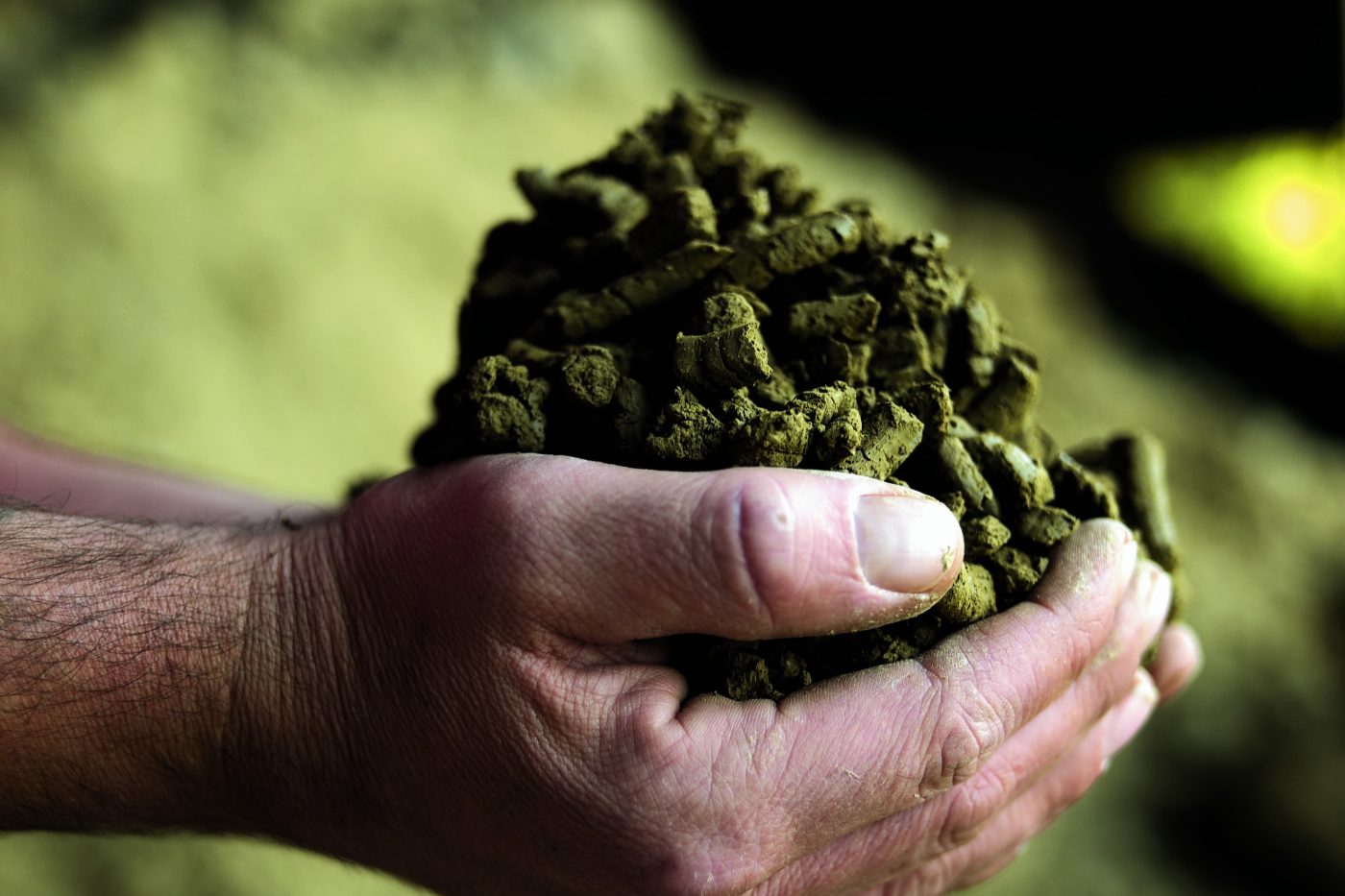 glineni crep Tondach