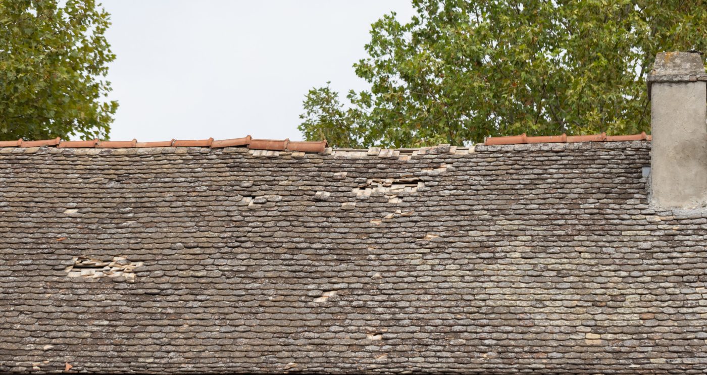 koraflex plus dimnjak