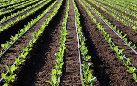 kap po kap navodnjavanje hero