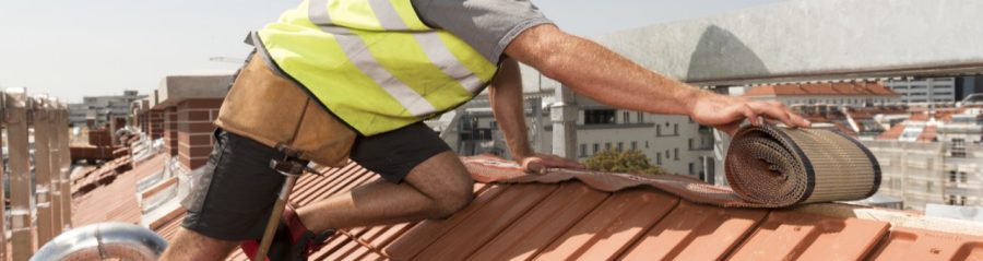 slemeno grebena traka hero