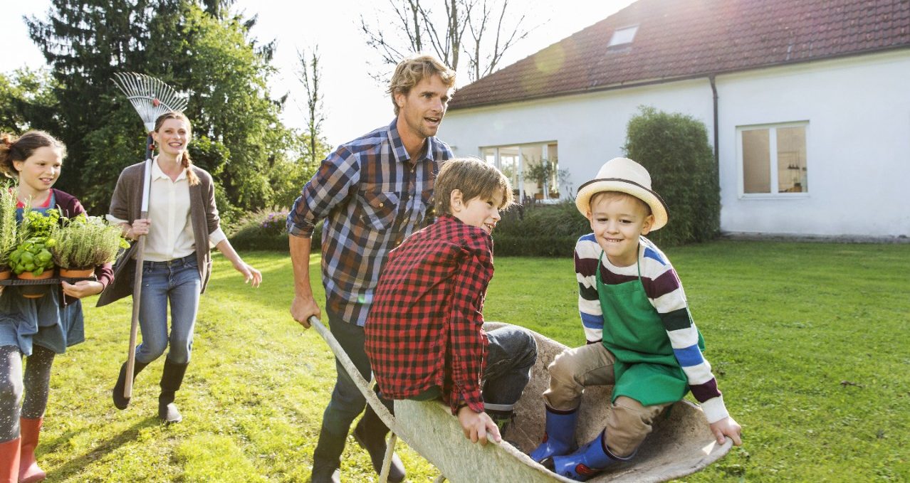 basta iz snova hero 2