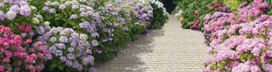 Pet tačaka pametne investicije u popločavanje