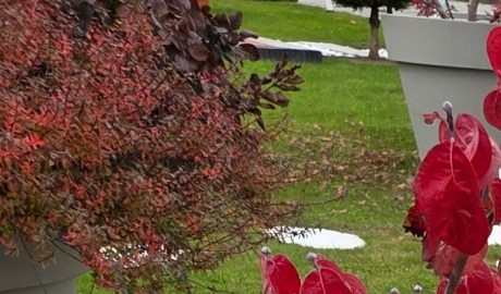 Semmelrock Izložbeni vrt 08