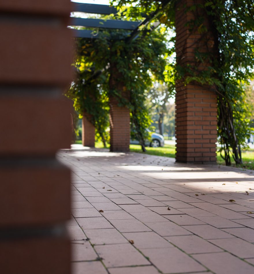 RS_MKT_PHO_SEMM_REF_Savada2