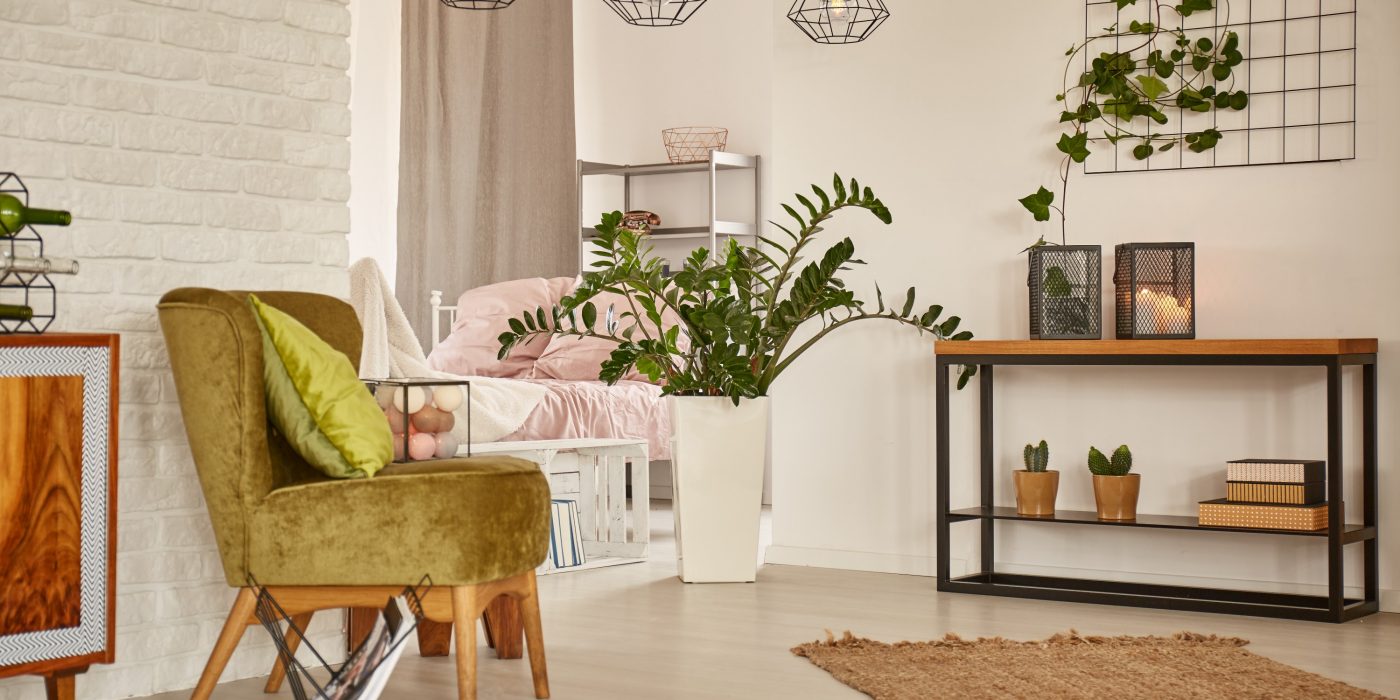 RS_Lifestyle_beladnevna2