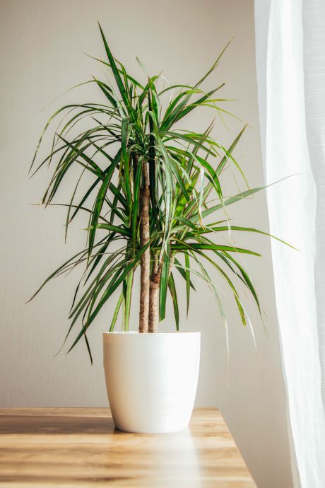 Decoration loft 2021