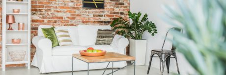 RS_Lifestyle_beladnevna