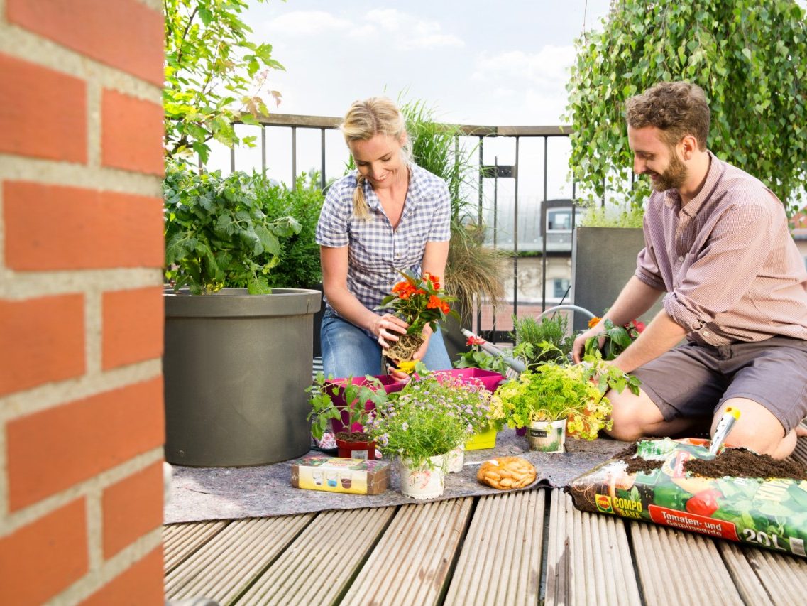 Couple at rooftop terrace with city view gardening