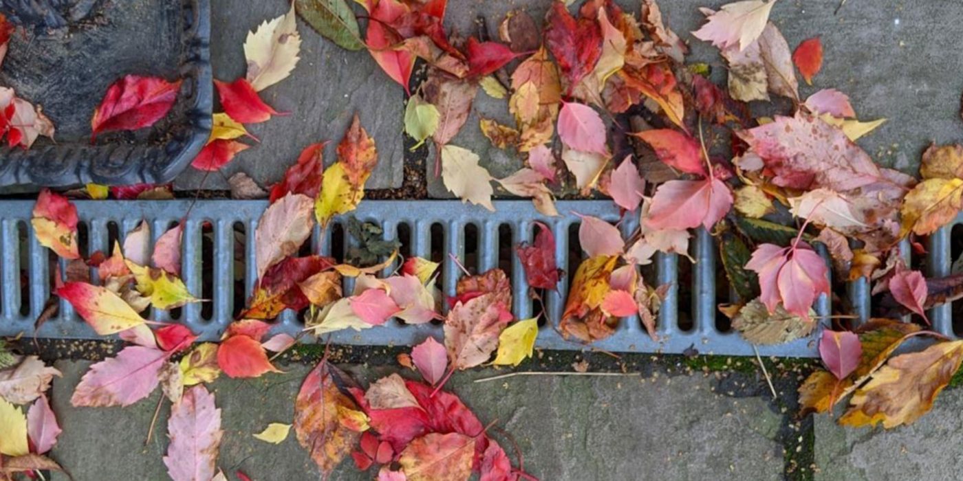 RS_MKT_PHO_SEM_SemDrain