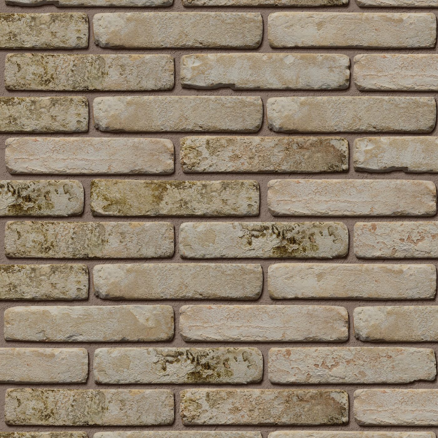 RS_DOGI_SCIALBATO_GIALLO