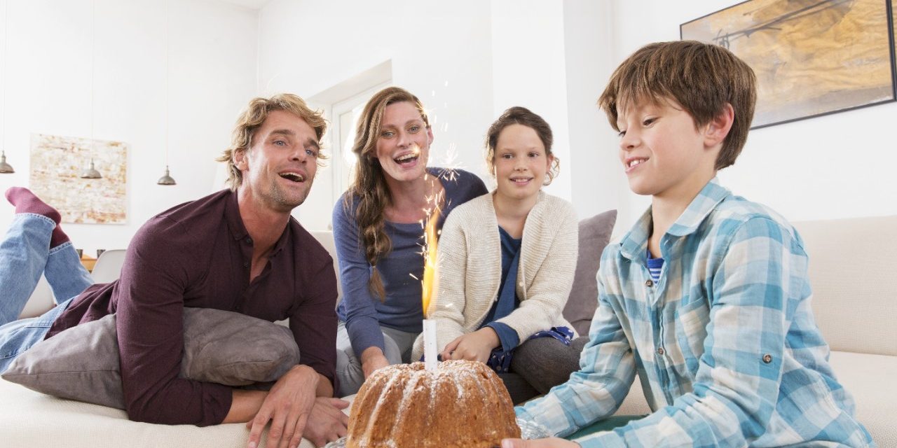 IZO Profi opeka punjena kamenom vunom za porodične kuće